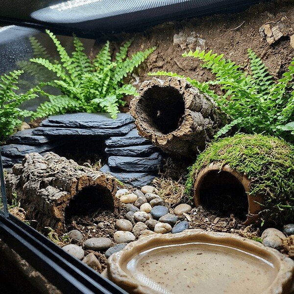Water Bowls
